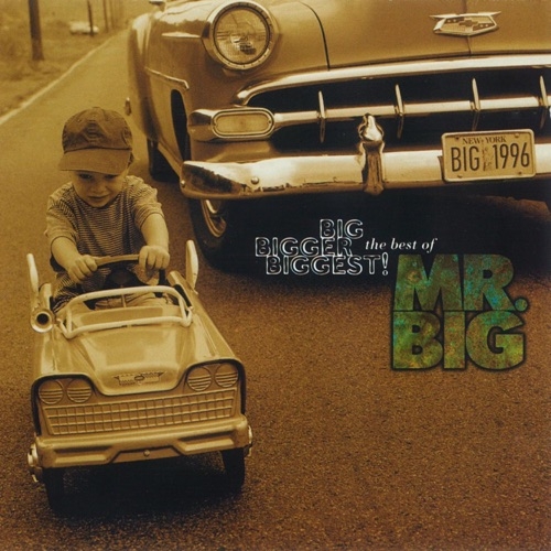 MR. BIG - Wild world (1993)